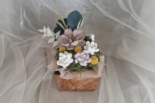 Holzkollektion_Mount_Rigi_2026_Orchidee_Bege